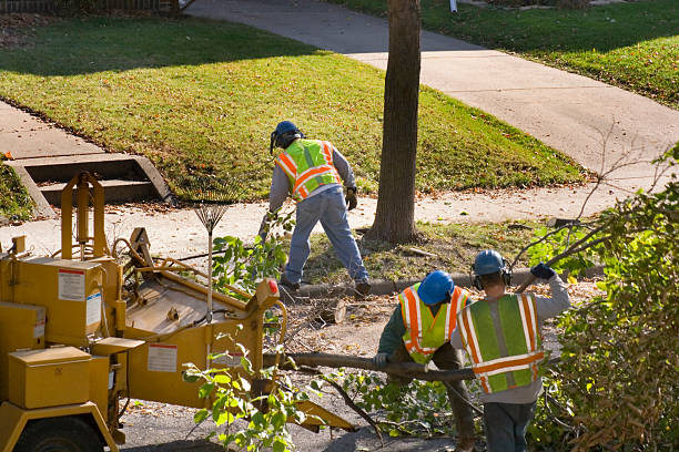 Lawn Irrigation Installation and Maintenance in Davison, MI